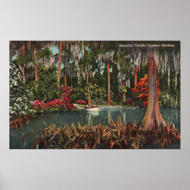 Cypress Gardens Florida Poster (Front)