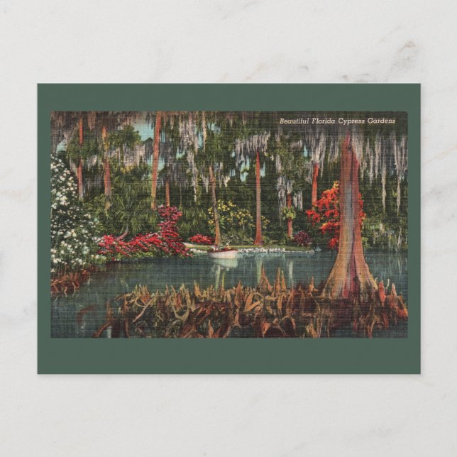 Cypress Gardens Vintage Postcard (Front)