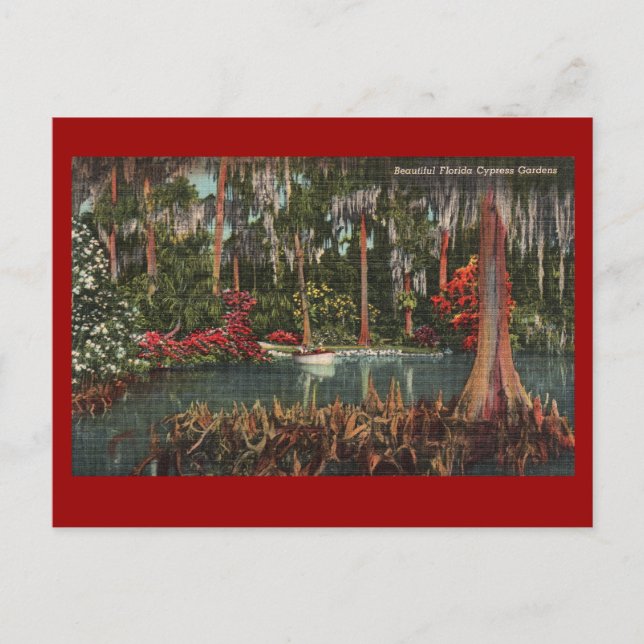 Cypress Gardens Vintage Postcard (Front)