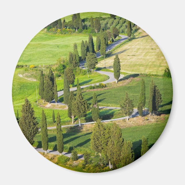 Cypress lined road in Tuscany round magnet (Front)