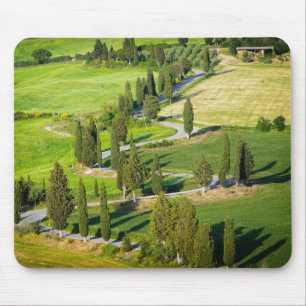 Cypress lined winding road in Tuscany mousepad