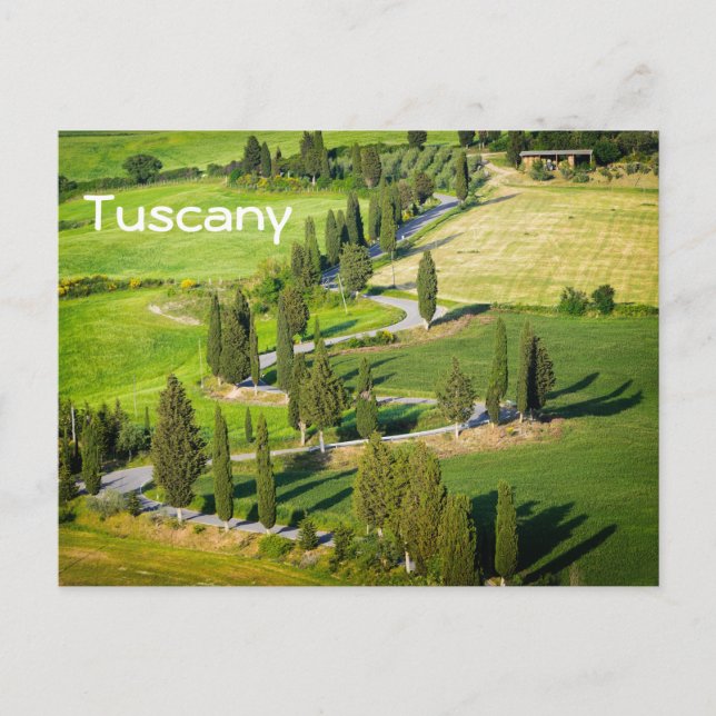 Cypress lined winding road, Tuscany text postcard (Front)