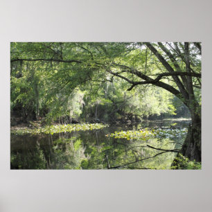 Cypress River A Part Poster -60x40 -or smaller