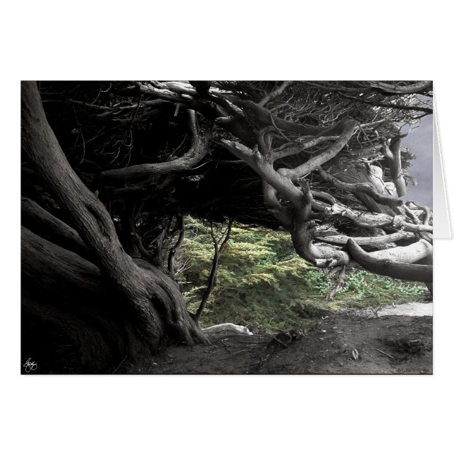 Cypress Skeleton - card (Front Horizontal)