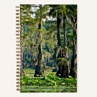 Cypress Sketch Book - 001