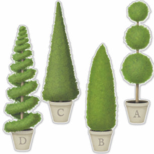 Cypress Topiary Collection Custom Monogrammed
