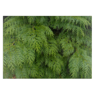 Cypress trees cutting board