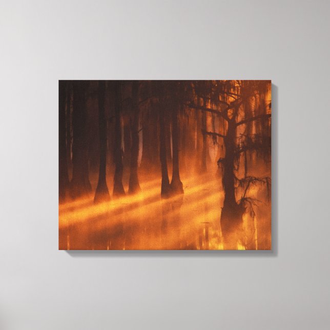 Cypress Trees | George Smith State Park Canvas Print (Front)