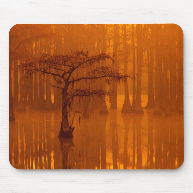 Cypress Trees | George Smith State Park Mouse Pad (Front)