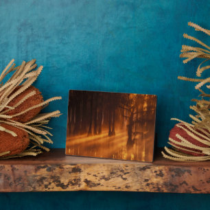 Cypress Trees George Smith State Park Plaque