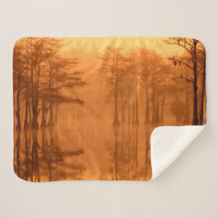 Cypress Trees George Smith State Park Sherpa Blanket