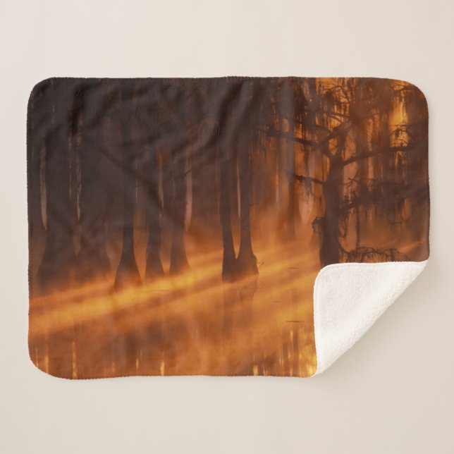 Cypress Trees | George Smith State Park Sherpa Blanket (Front (Horizontal))