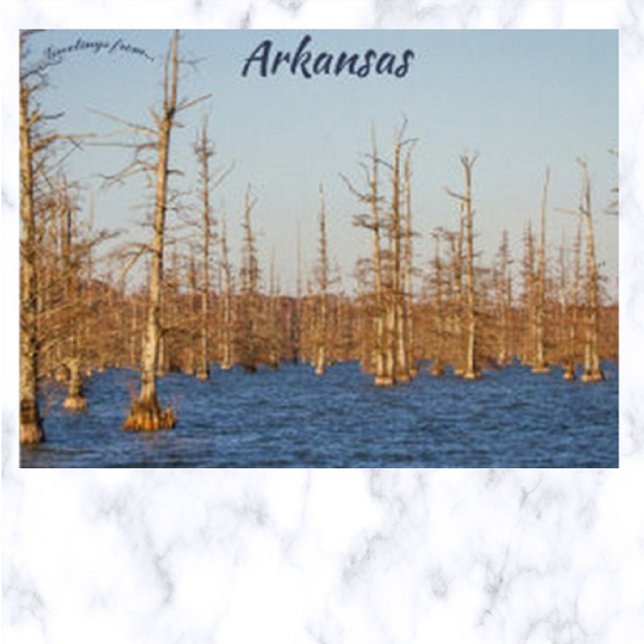 Cypress Trees in Big Lake NWR Arkansas Postcard (Creator Uploaded)