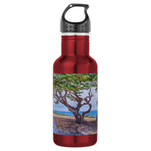 Cypress Trees in Pacific Grove 532 Ml Water Bottle