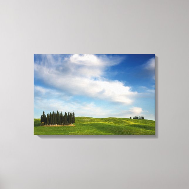 Cypress trees in Tuscany canvas (Front)