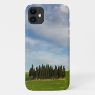 Cypress trees in Tuscany, Italy Case-Mate iPhone Case