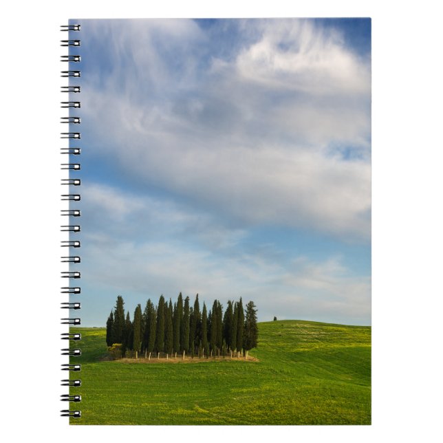 Cypress trees in Tuscany notebook (Front)