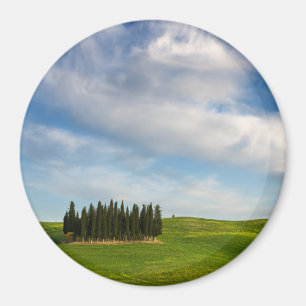 Cypress trees in Tuscany round magnet