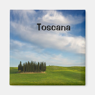 Cypress trees in Tuscany text magnet