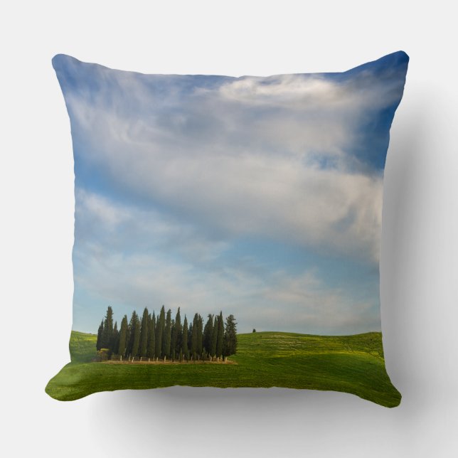 Cypress trees in Tuscany throw pillow (Front)