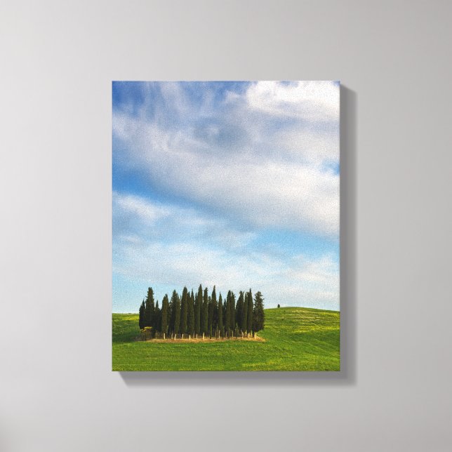Cypress trees in Tuscany vertical canvas (Front)