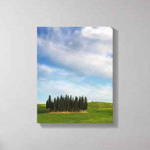 Cypress trees in Tuscany vertical canvas Print