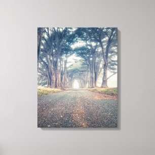 Cypress Tunnel Canvas Print