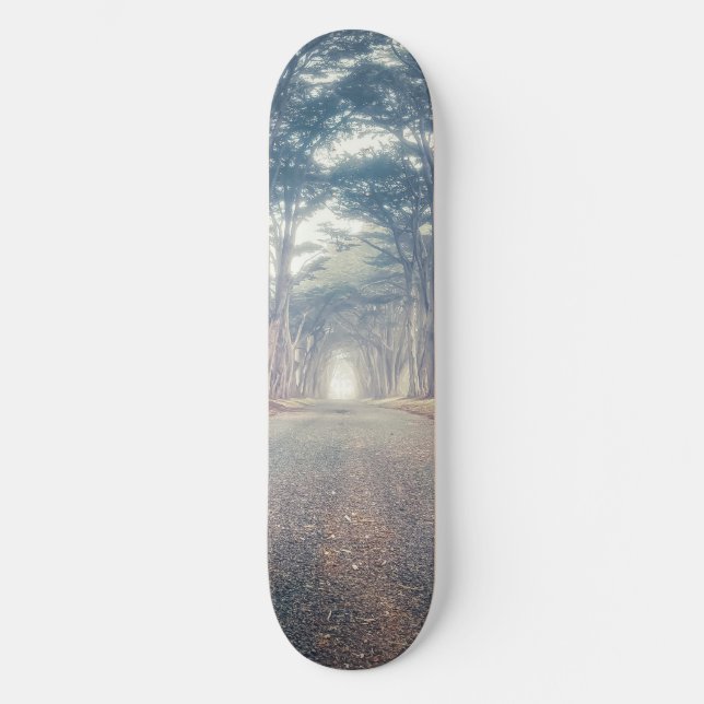 Cypress Tunnel Landscape Skateboard (Front)