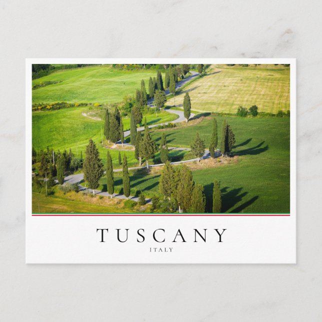 Cypress winding road in Tuscany, Italy Postcard (Front)