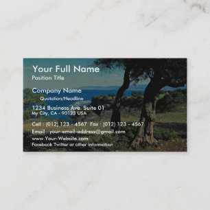 Cyprus Business Card
