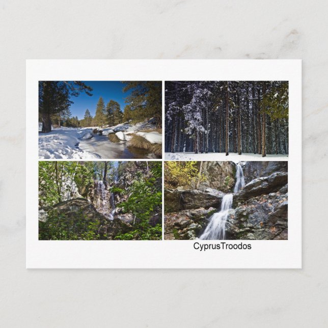 Cyprus Landscape Troodos mountains winter Postcard (Front)