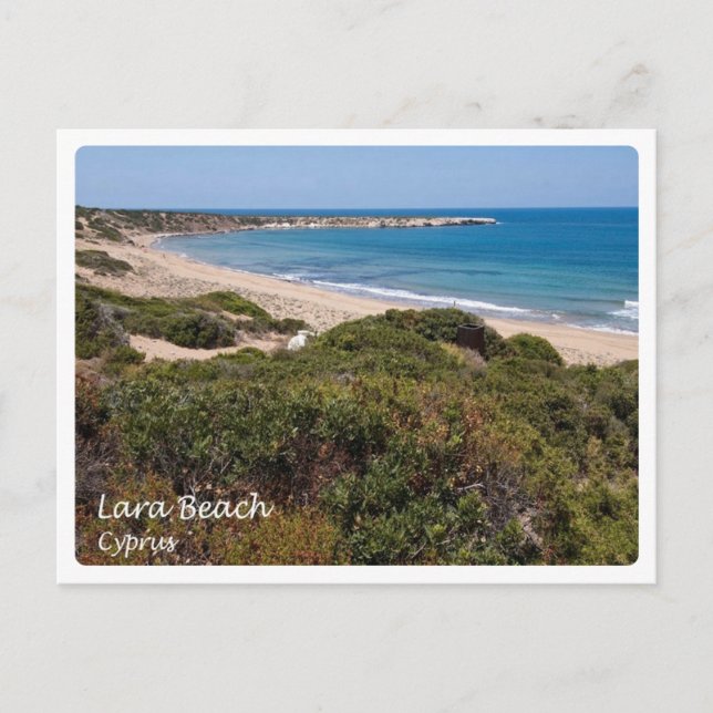 Cyprus - Lara - Postcard (Front)
