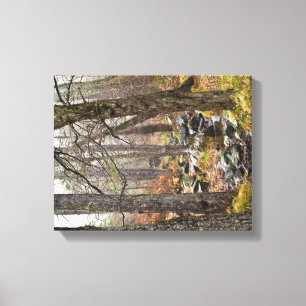 Cyprus nature landscape Troodos forest brown trees Canvas Print