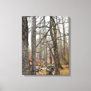 Cyprus nature landscape Troodos forest brown trees Canvas Print