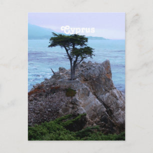 Cyprus Postcard