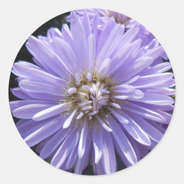 Cyrene Classic Round Sticker (Front)