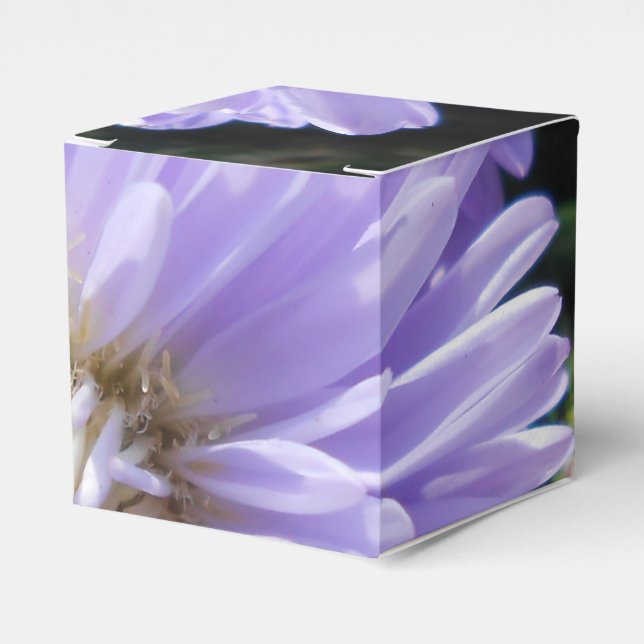 Cyrene Favour Box (Front Side)
