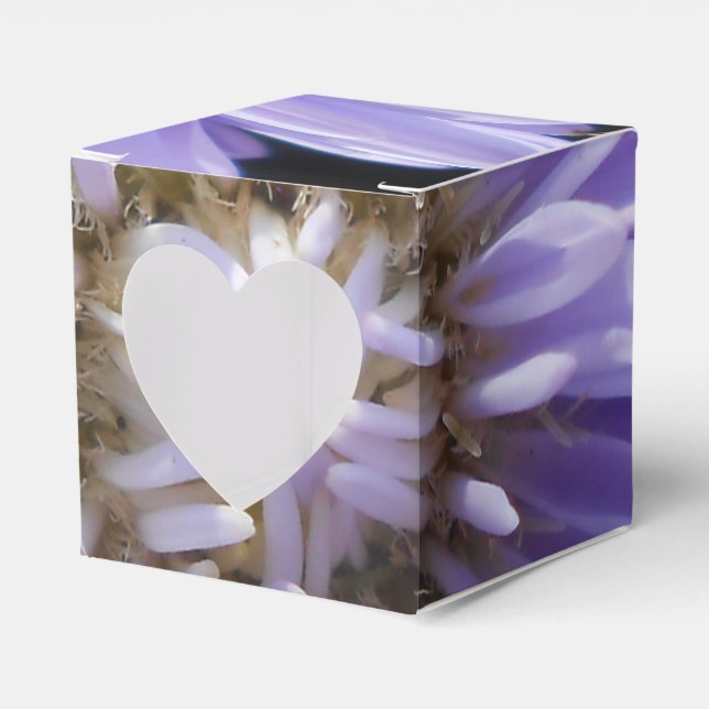 Cyrene Favour Box (Front Side)