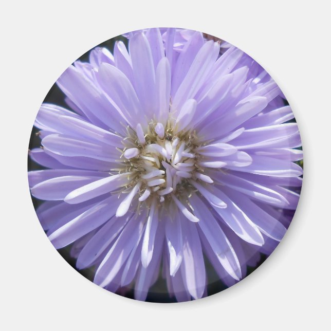 Cyrene Magnet (Front)