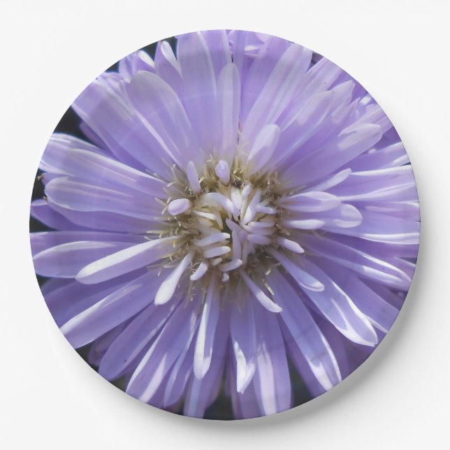 Cyrene Paper Plate (Front)