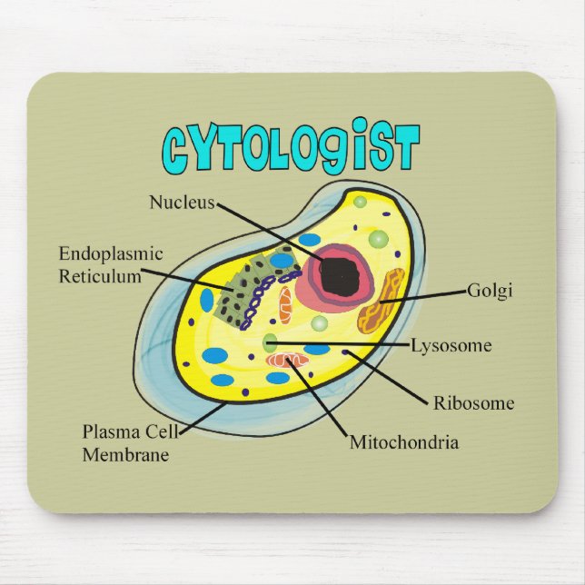 Cytologist Human Cell Drawing Gifts Mouse Pad (Front)