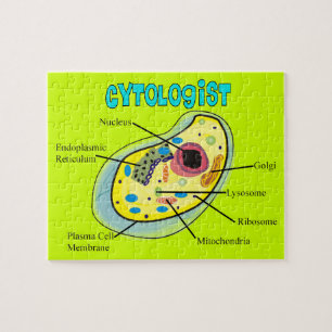 Cytologist Human Cell Puzzle