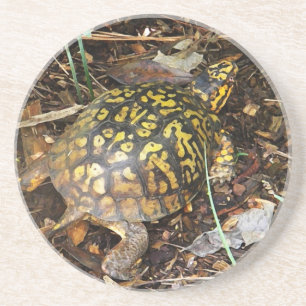 CZ- Box Turtle Coasters