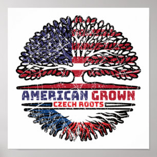 Czech Republic Czech US American USA United States Poster