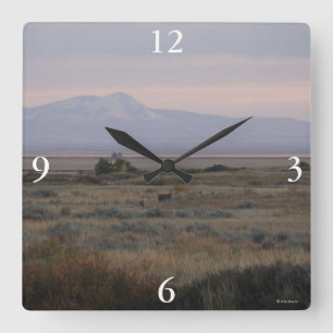 D10 White-tailed Deer and Sweet Grass Hills Square Wall Clock