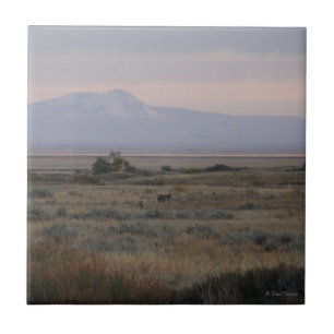 D10 White-tailed Deer and Sweetgrass Hills Tile