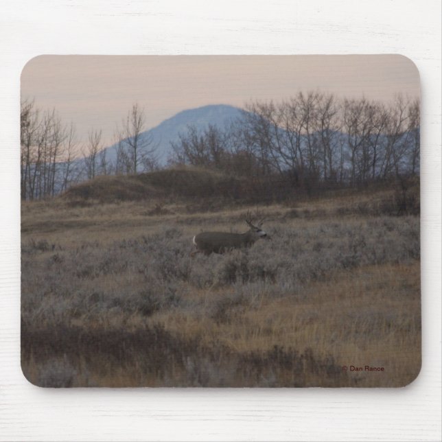 D12 Mule Deer Buck and Sweet Grass Hills Mouse Pad (Front)