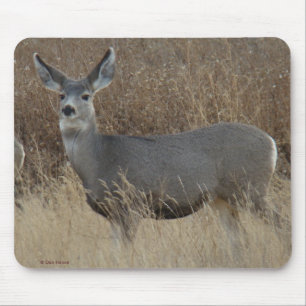 D14 Mule Deer Doe Mouse Pad