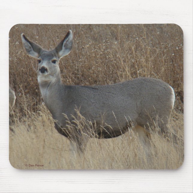 D14 Mule Deer Doe Mouse Pad (Front)
