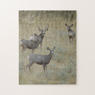 D18 Mule Deer Family Jigsaw Puzzle